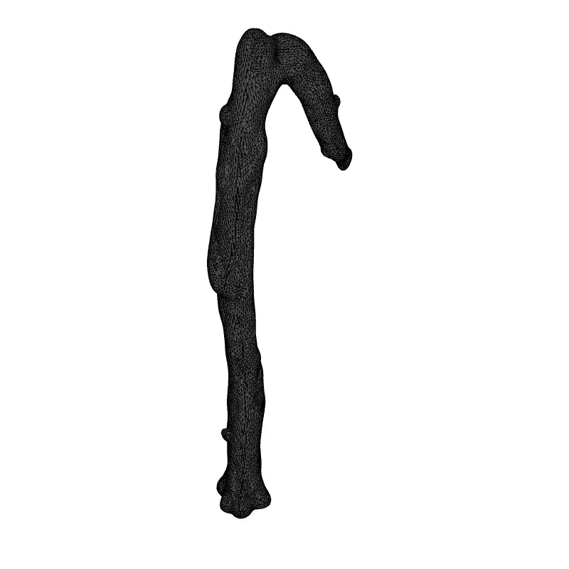 Spooky Gnarled Wooden Staff 3D Model Low-poly 3D model_9