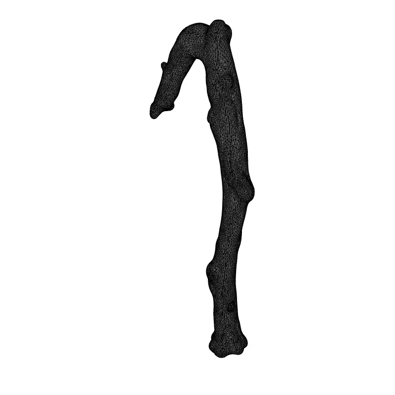 Spooky Gnarled Wooden Staff 3D Model Low-poly 3D model_1