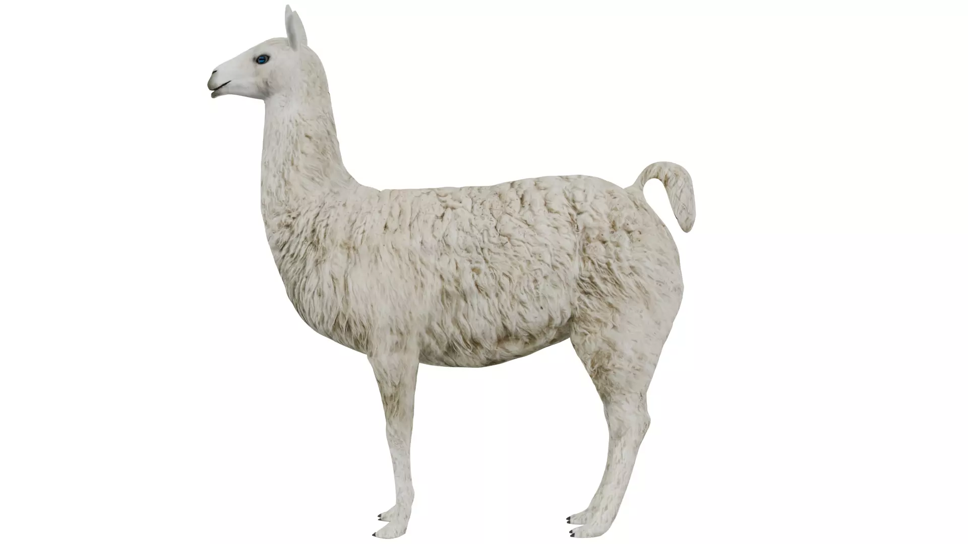 Llama 3D model_1