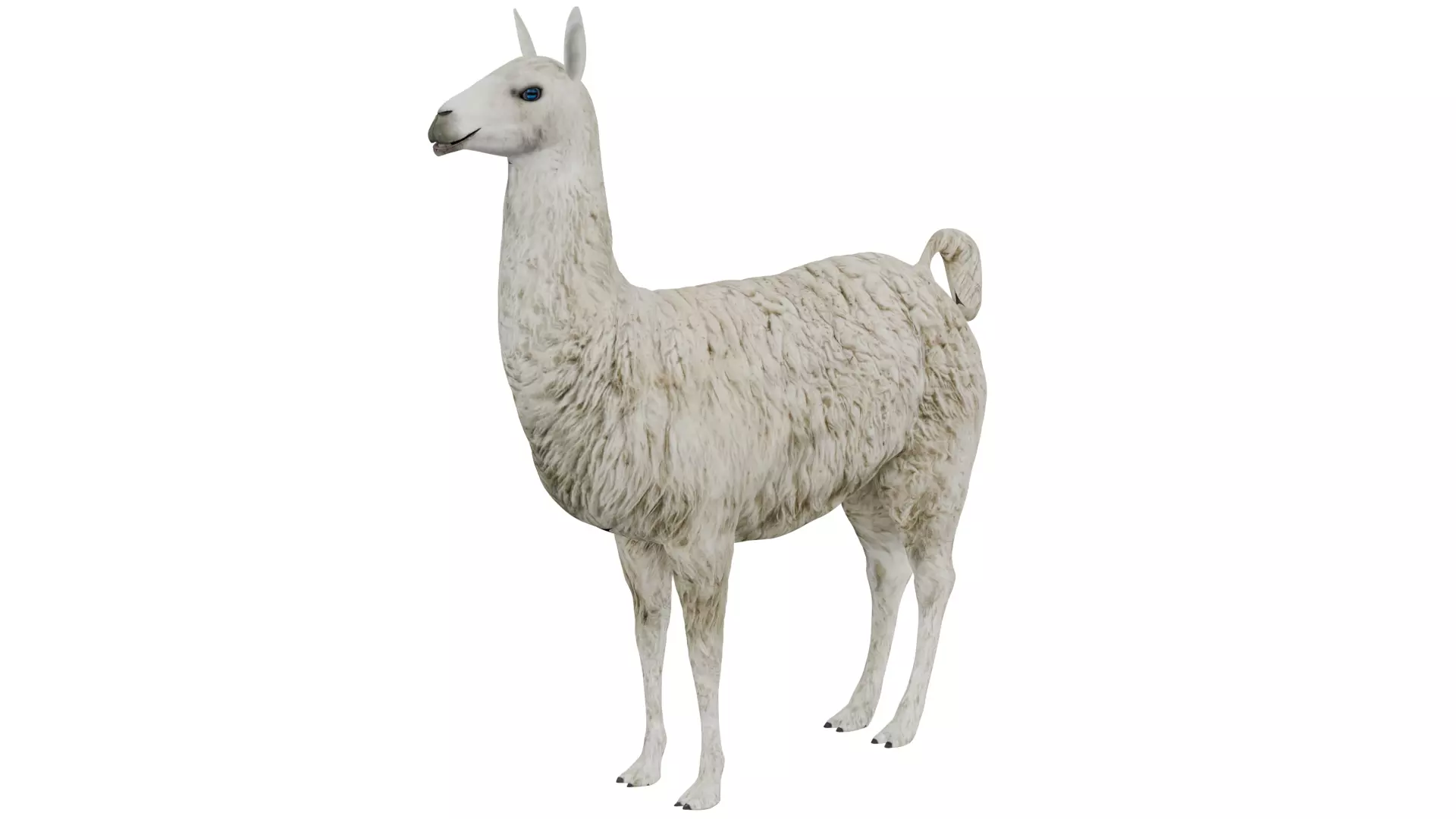 Llama 3D model_0