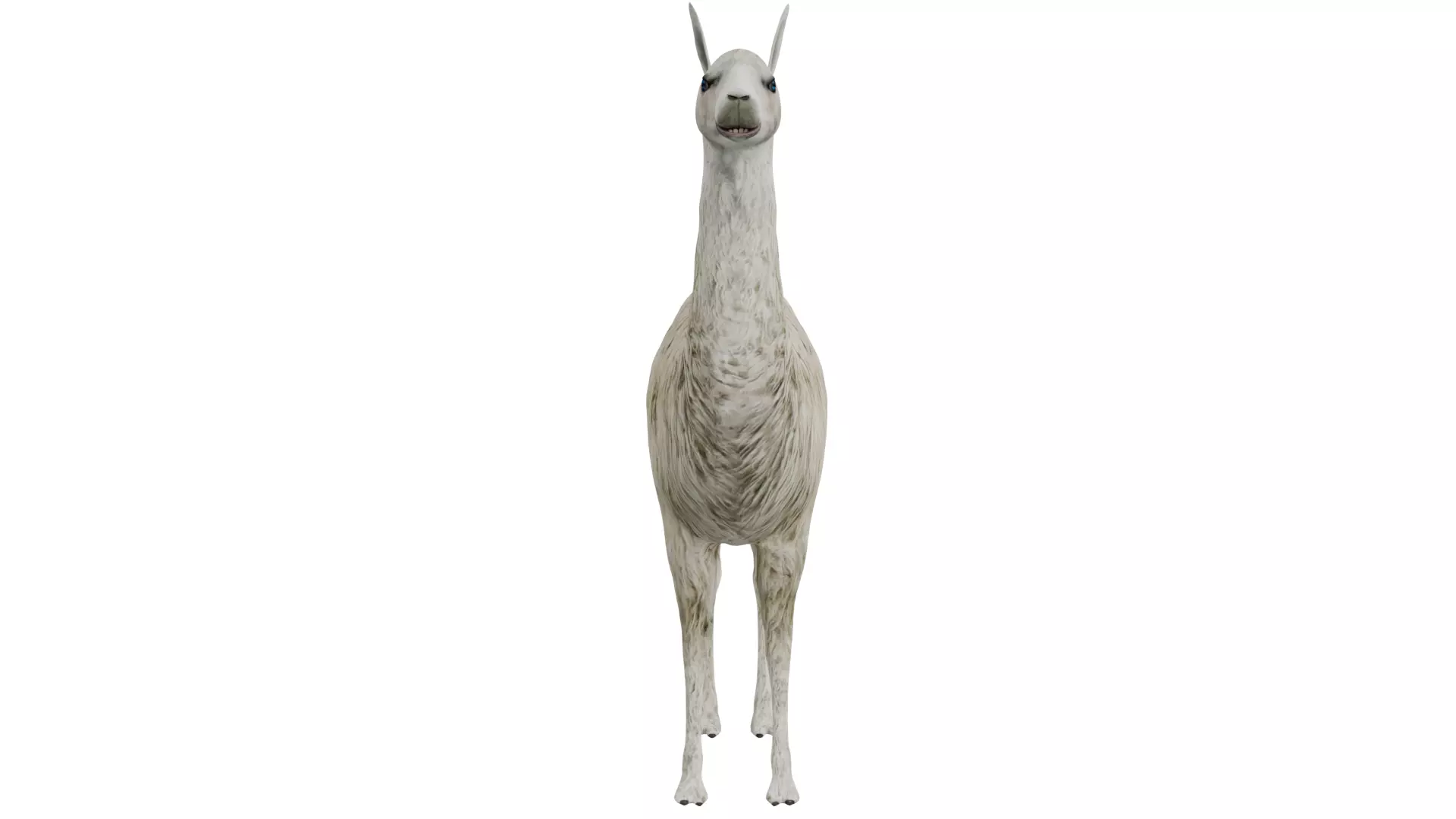 Llama 3D model_7
