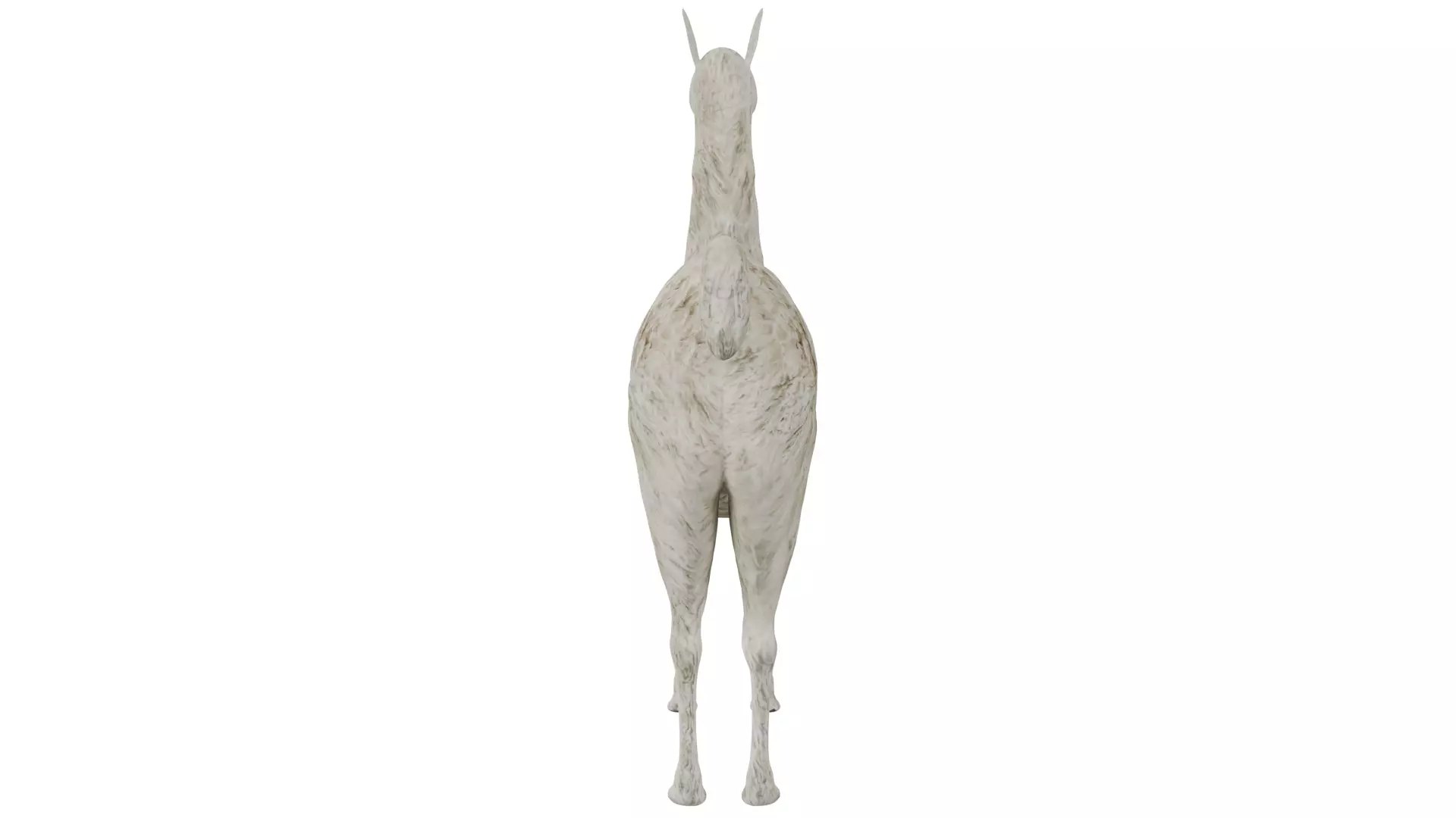 Llama 3D model_3