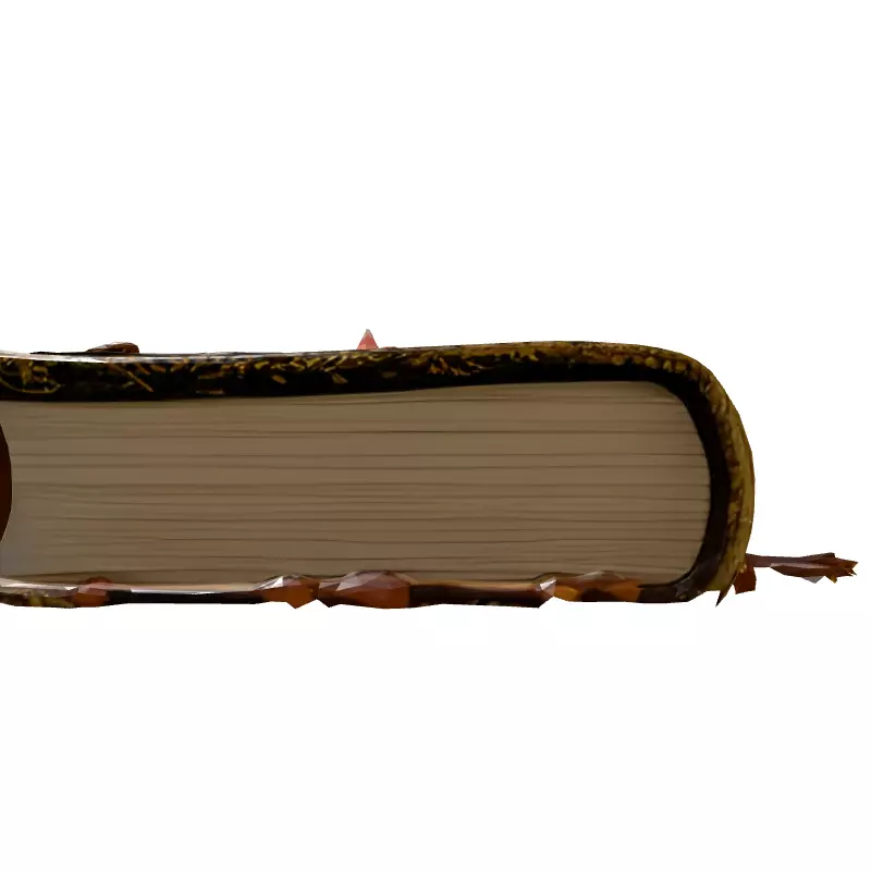 Ancient Celtic Magic Book 3D Model Low-poly 3D model_7