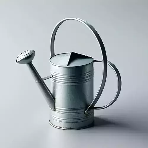 Realistic Metal Watering Can 3D Model Low-poly 3D model