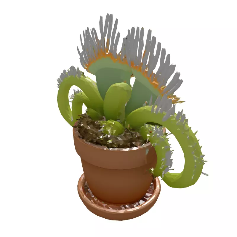 Realistic Potted Venus Flytrap 3D Model Low-poly 3D model_6