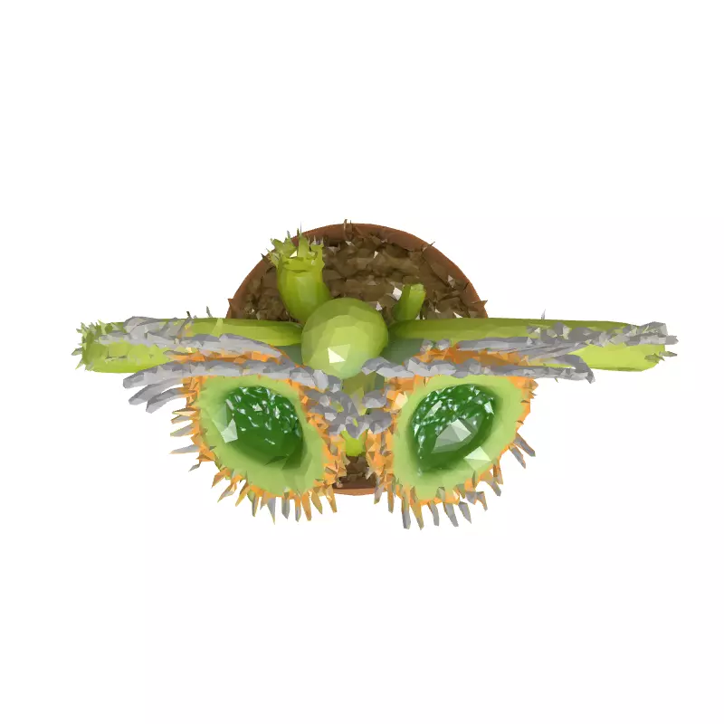 Realistic Potted Venus Flytrap 3D Model Low-poly 3D model_8