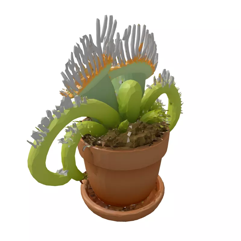 Realistic Potted Venus Flytrap 3D Model Low-poly 3D model_5