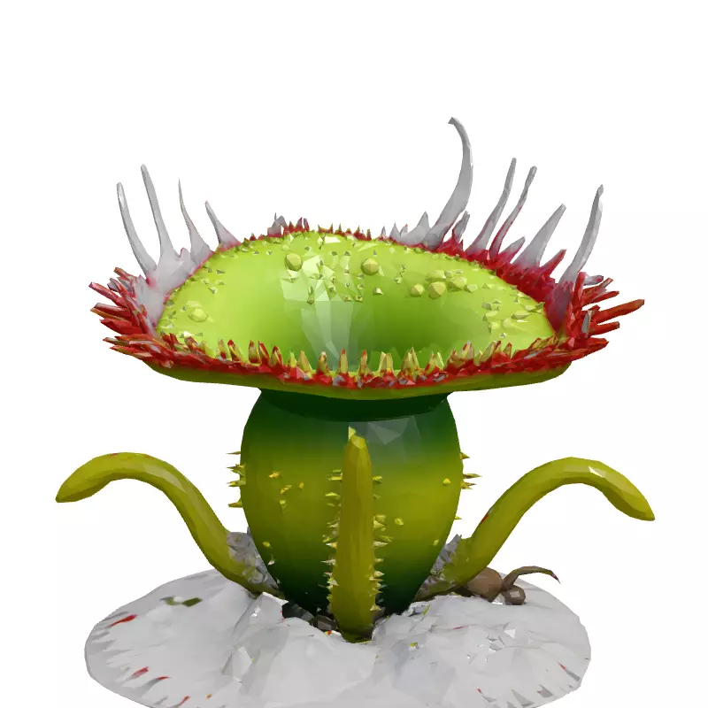3D Carnivorous Plant Model Low-poly 3D model_4