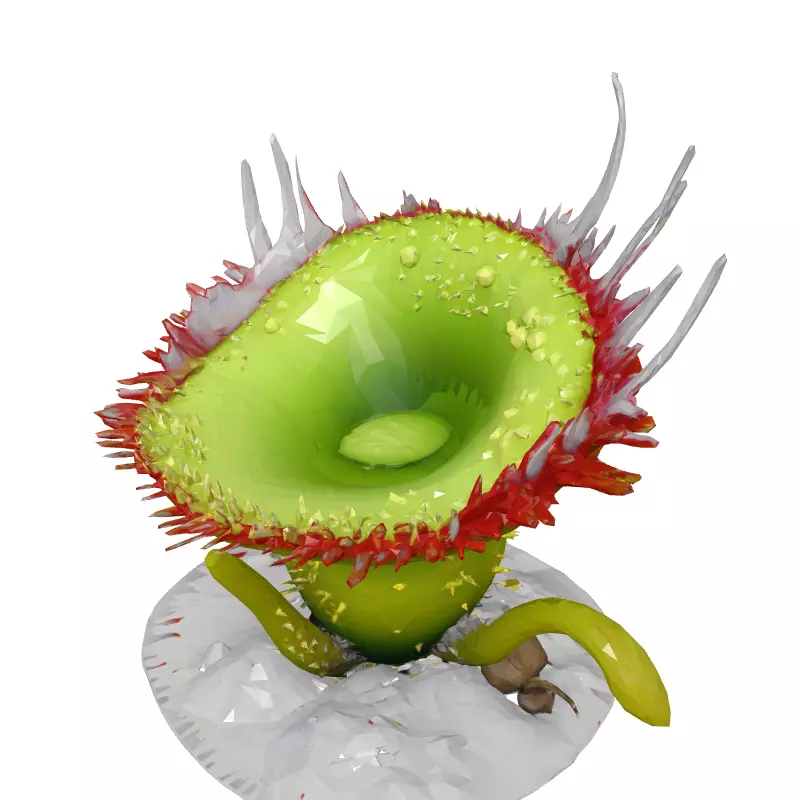 3D Carnivorous Plant Model Low-poly 3D model_2