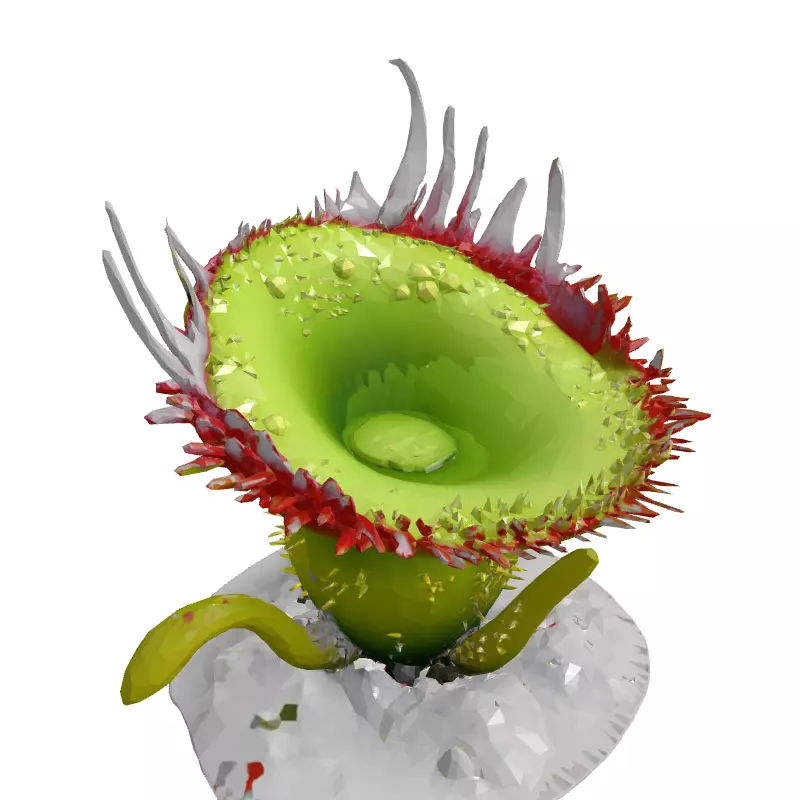 3D Carnivorous Plant Model Low-poly 3D model_3