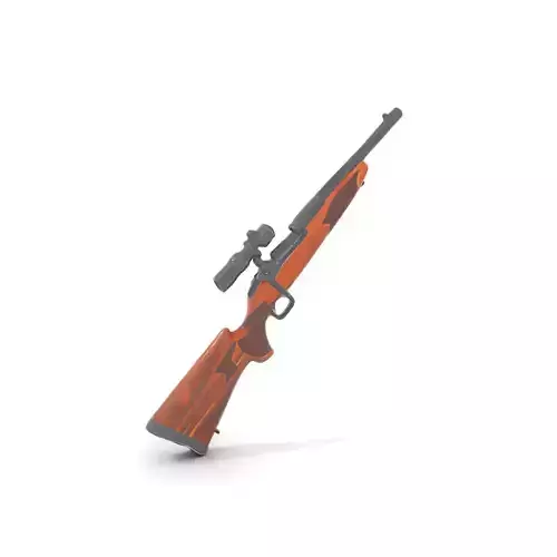 Elegant Hunting Rifle model pack