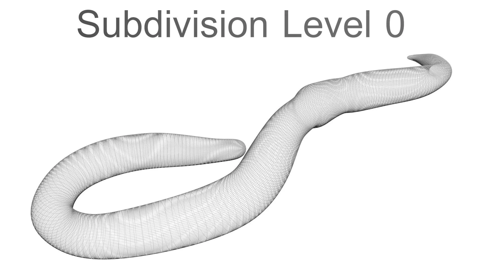 Earthworm 3D model_22