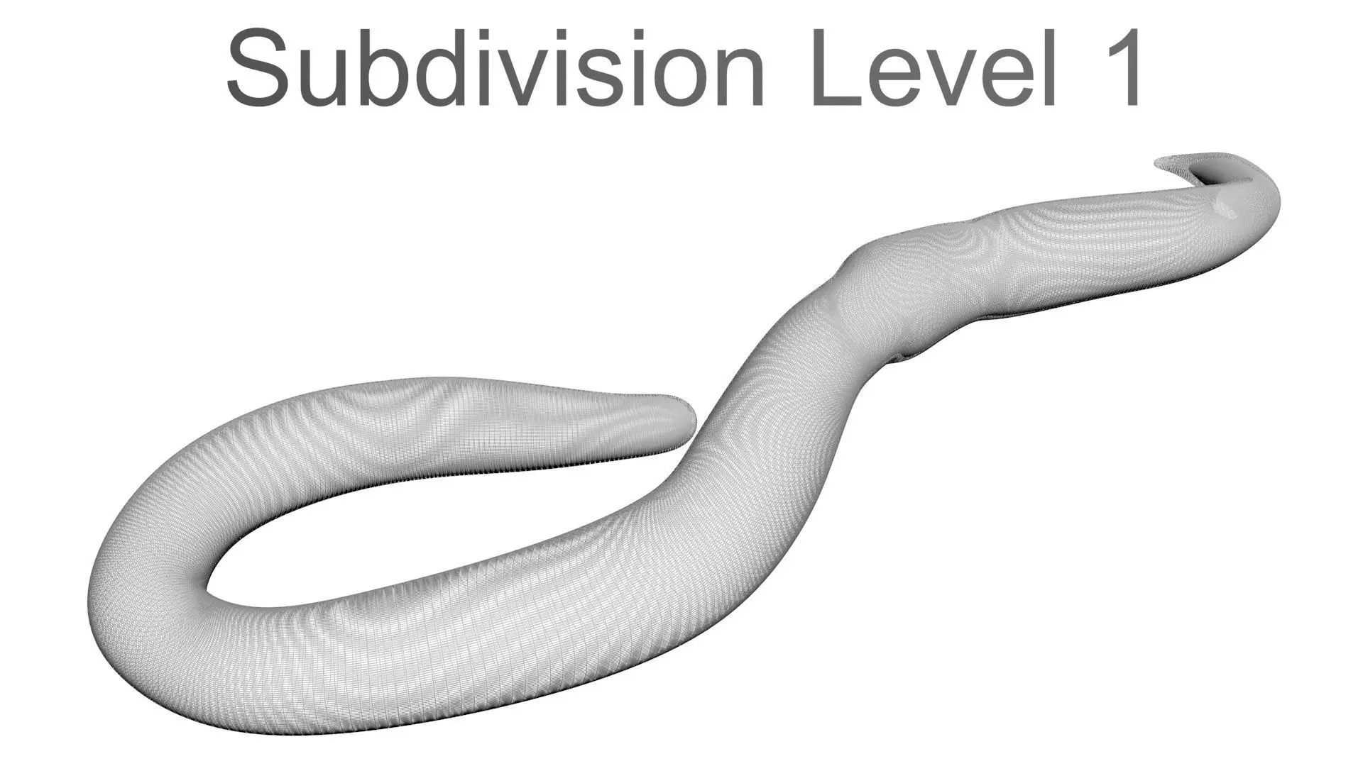 Earthworm 3D model_21