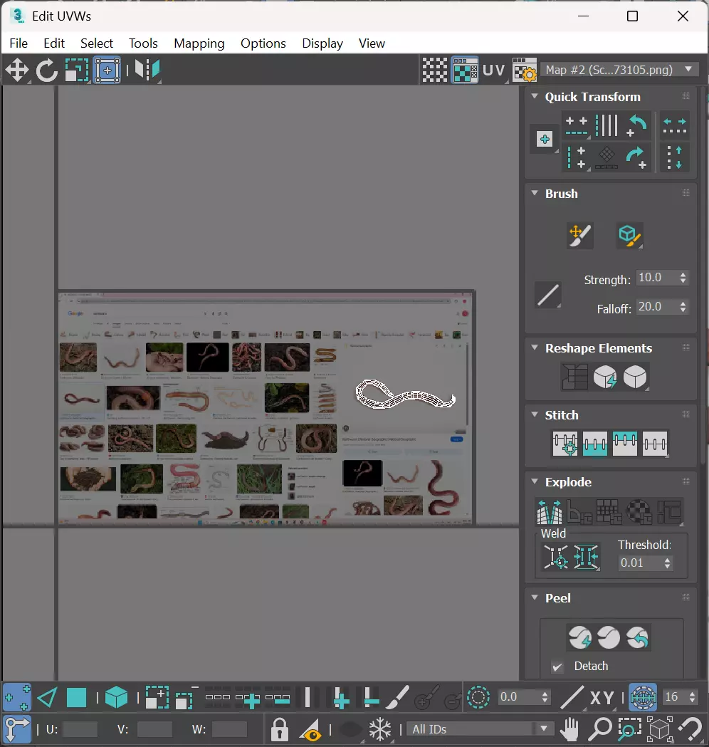 Earthworm 3D model_23