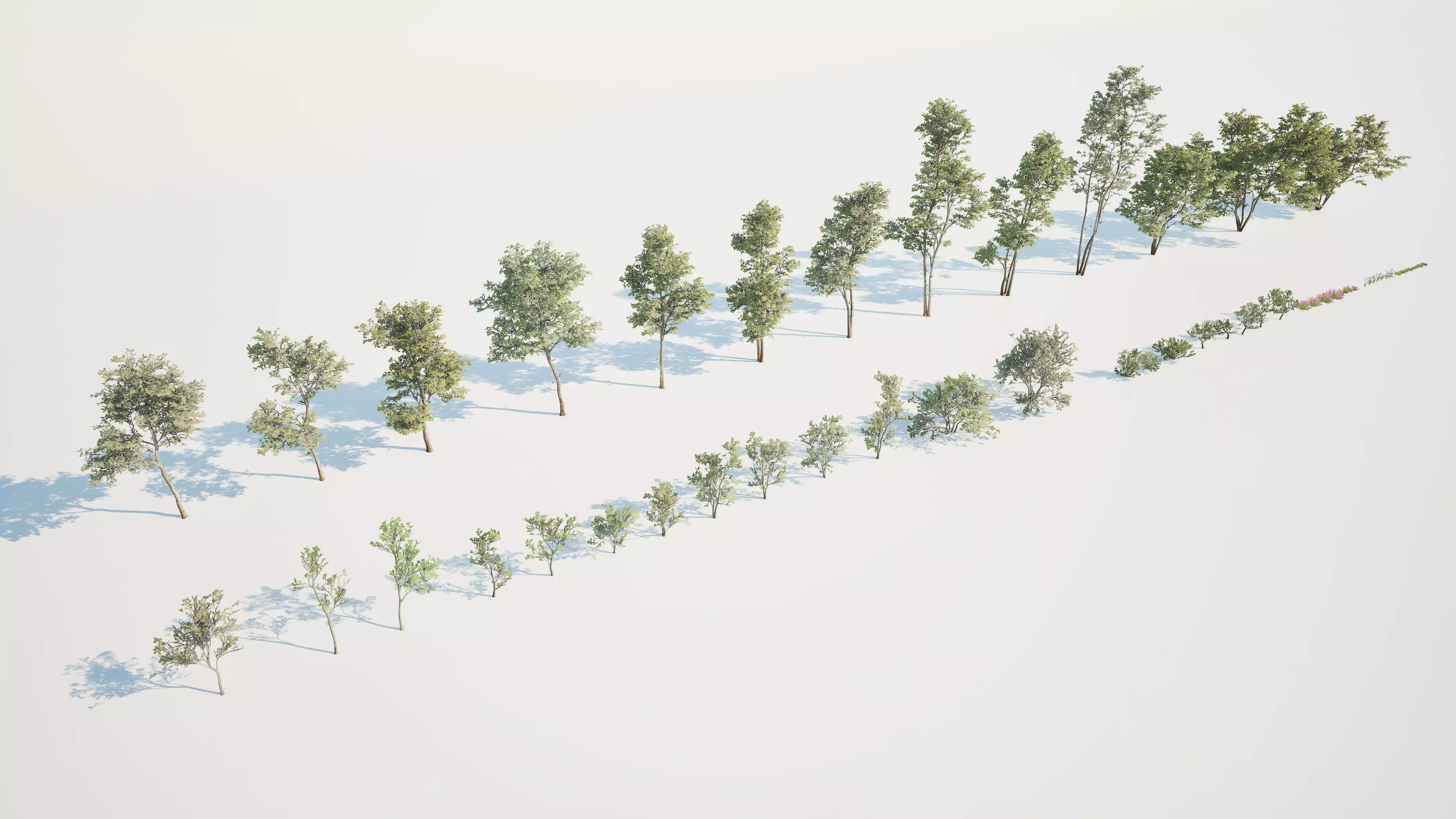Game ready tree set - UE5 Low-poly 3D model_2