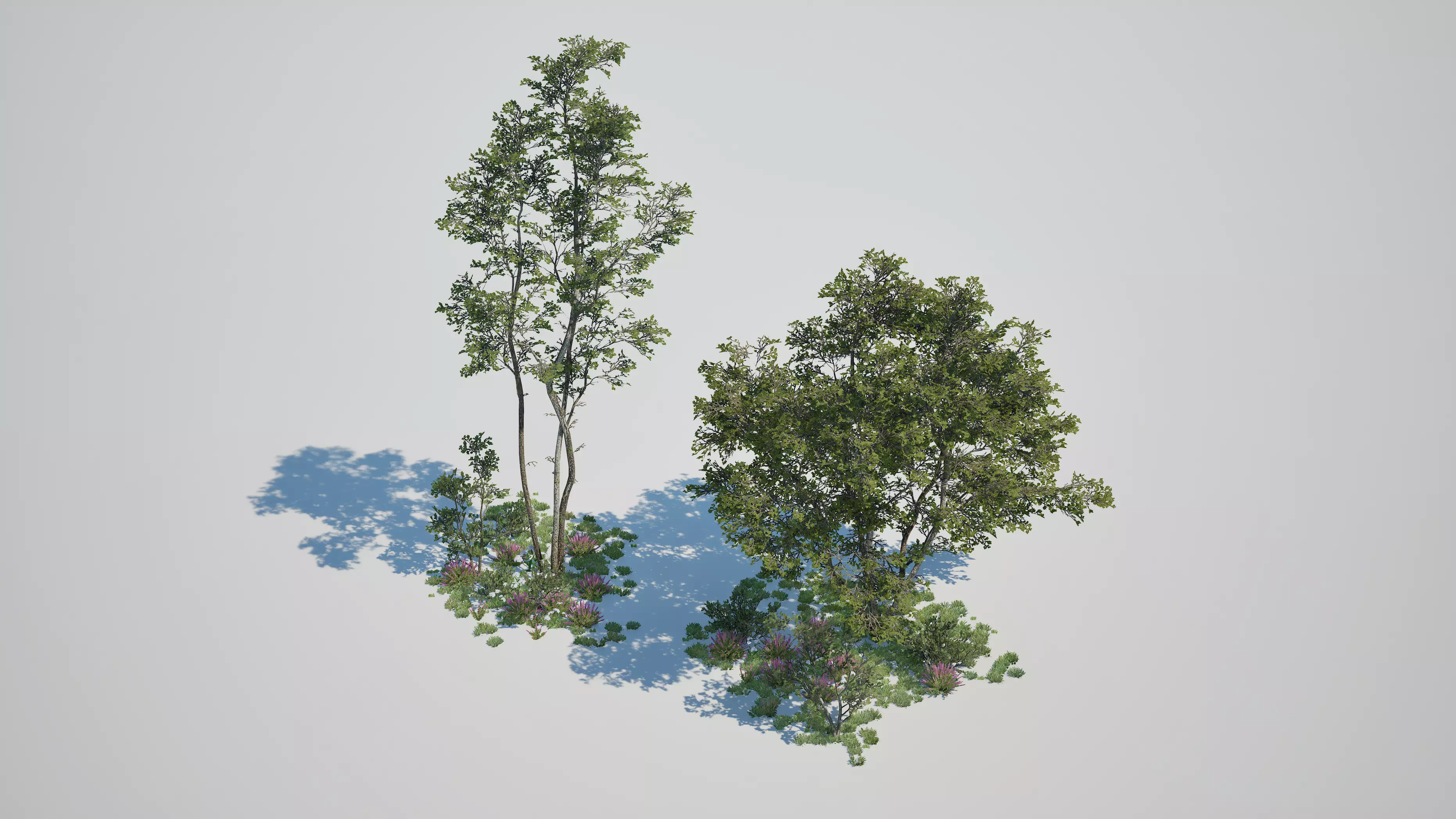Game ready tree set - UE5 Low-poly 3D model_1