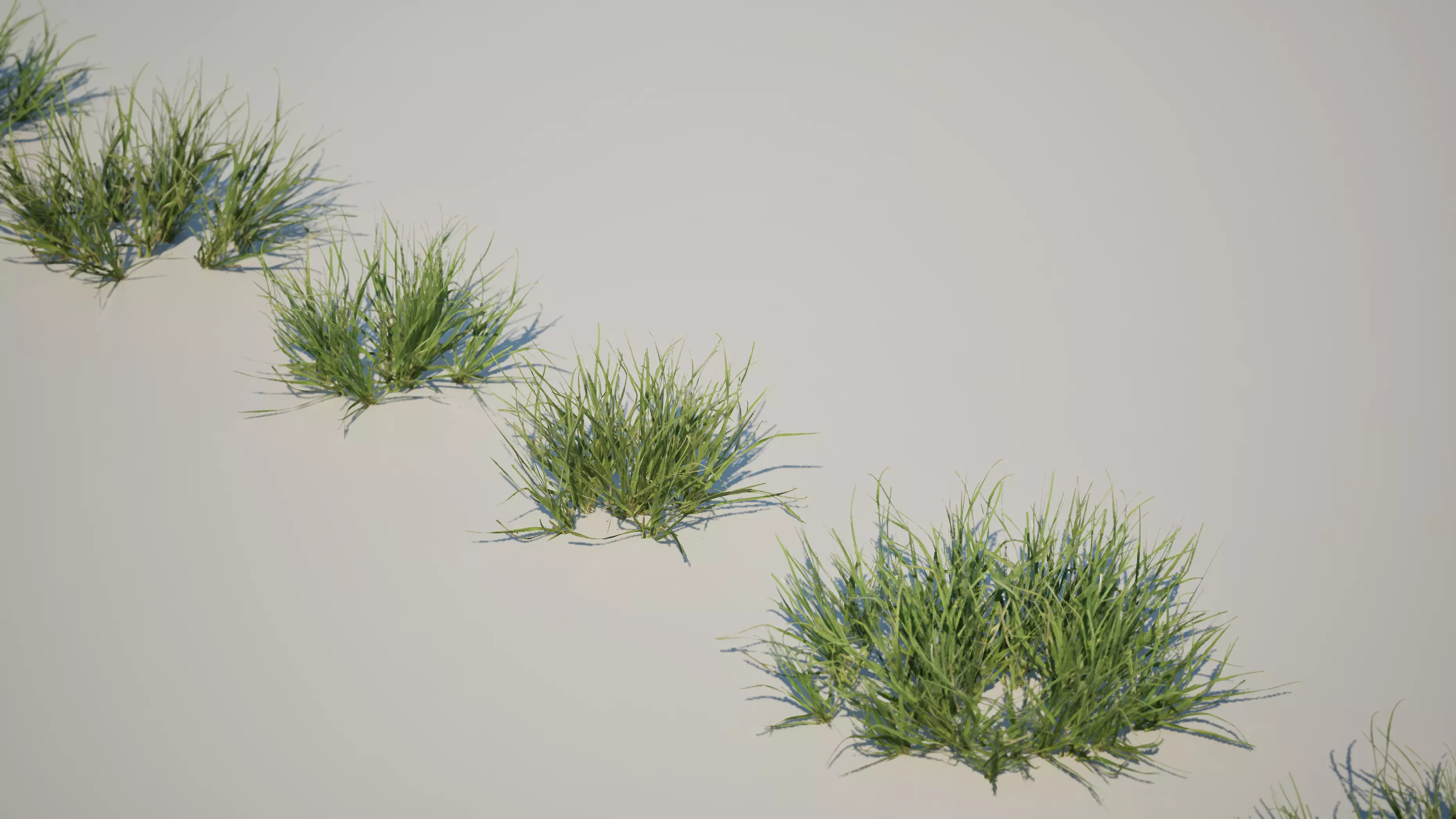 Game ready tree set - UE5 Low-poly 3D model_10