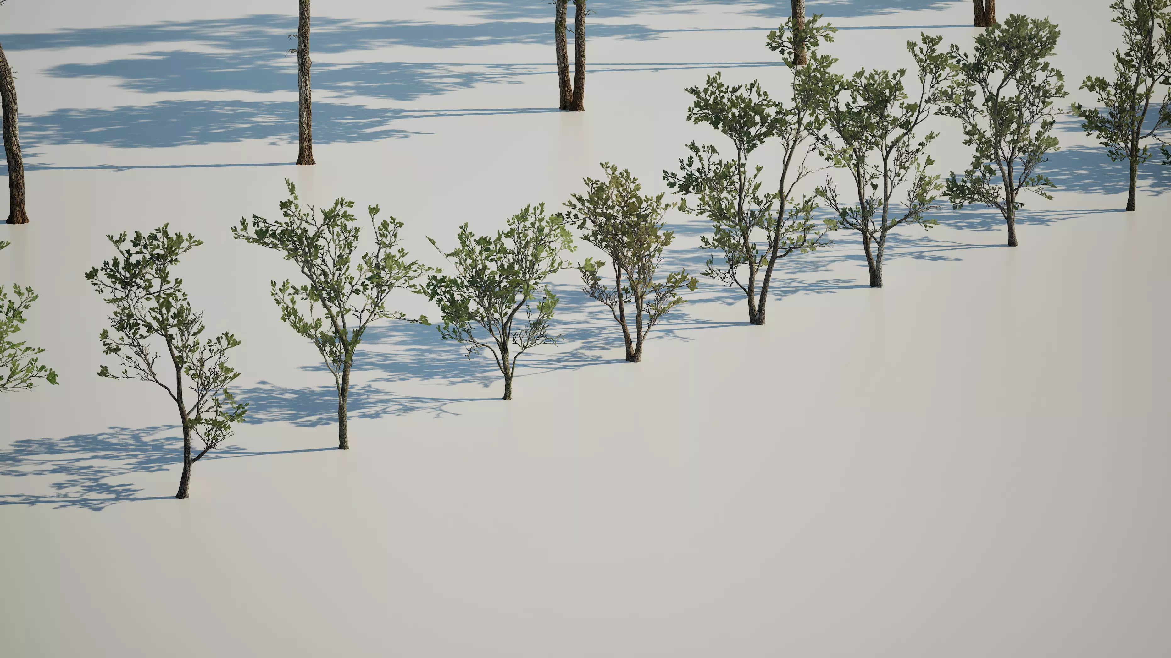 Game ready tree set - UE5 Low-poly 3D model_7
