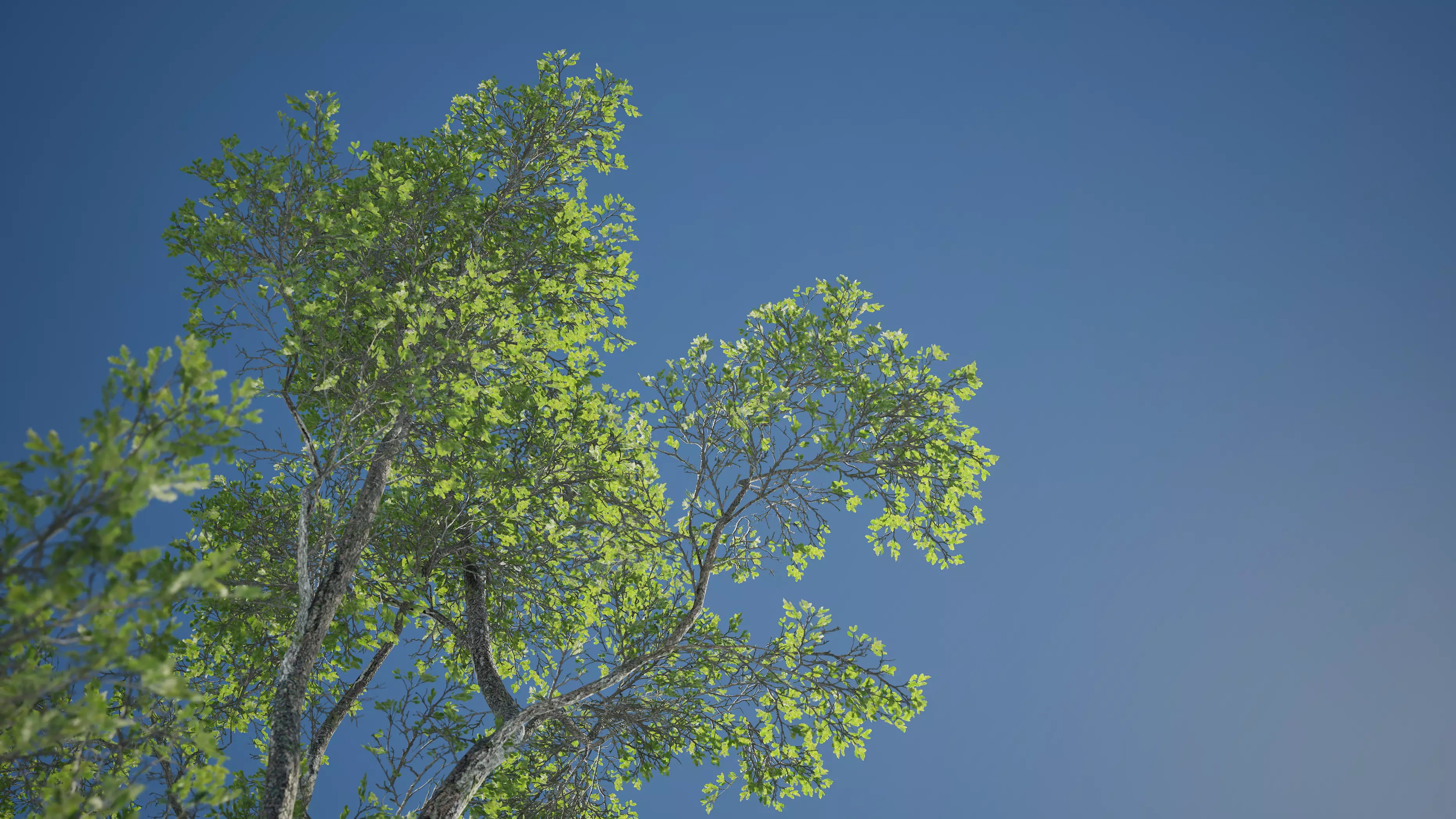 Game ready tree set - UE5 Low-poly 3D model_4