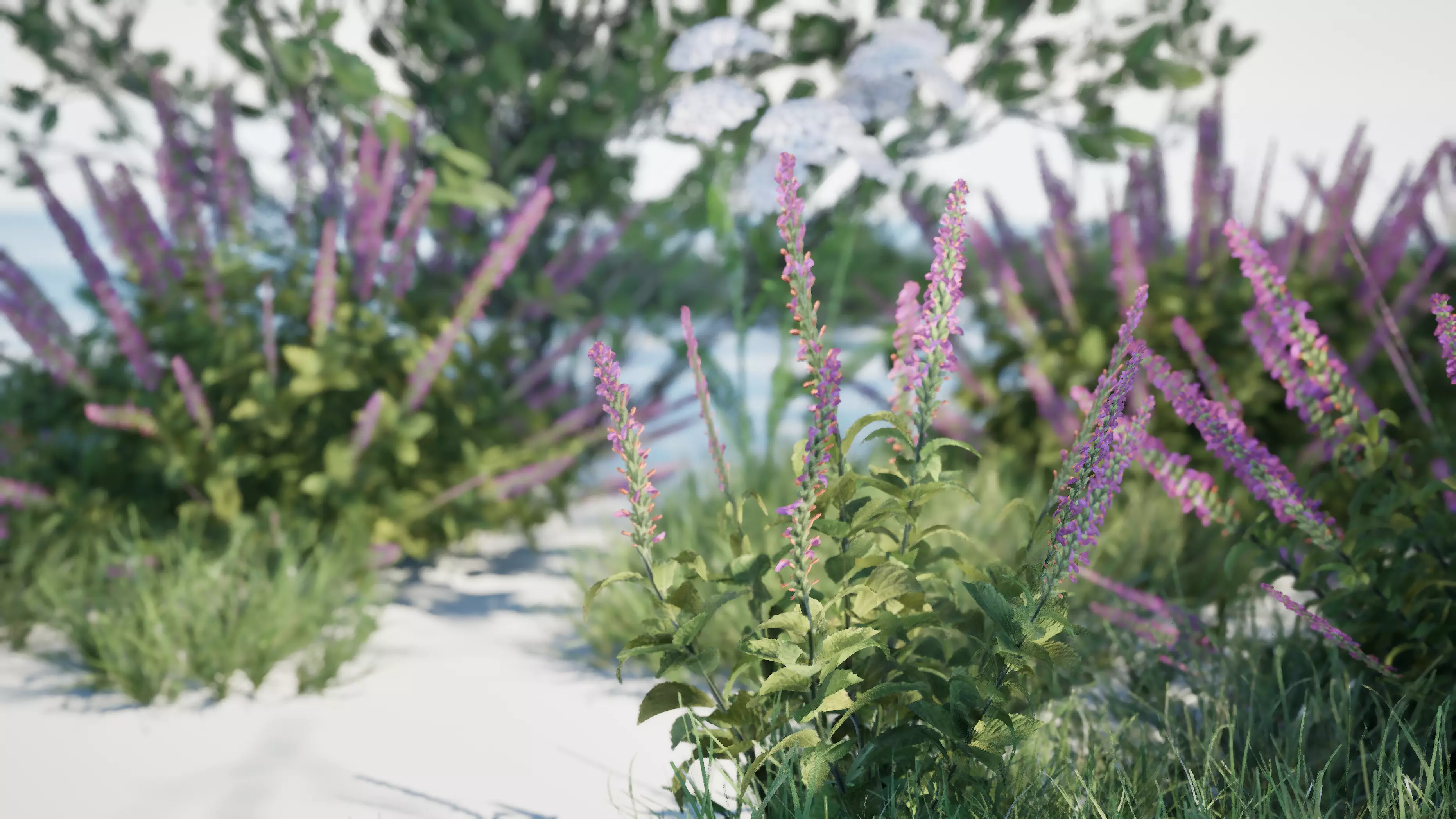 Game ready tree set - UE5 Low-poly 3D model_8