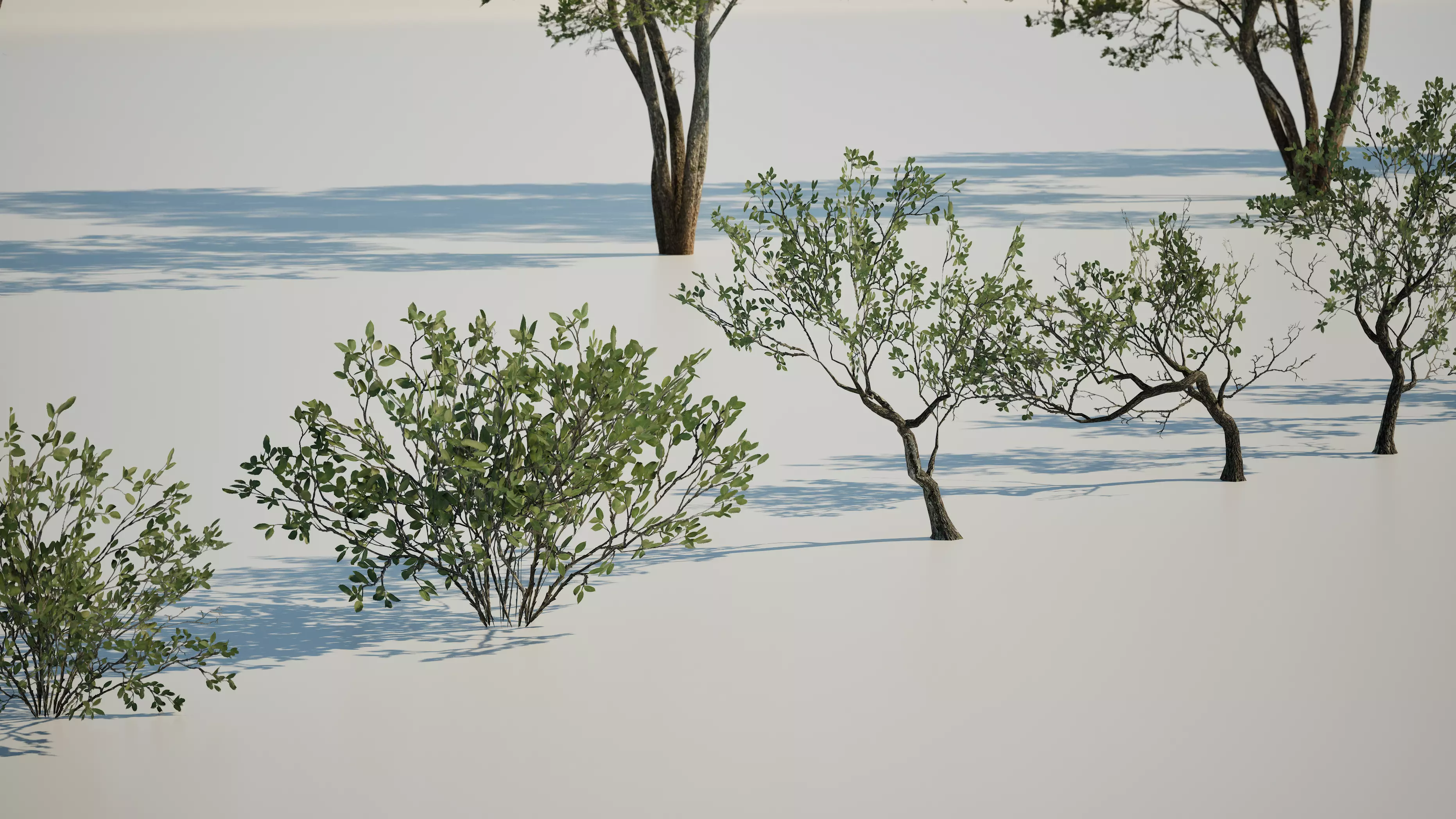 Game ready tree set - UE5 Low-poly 3D model_6