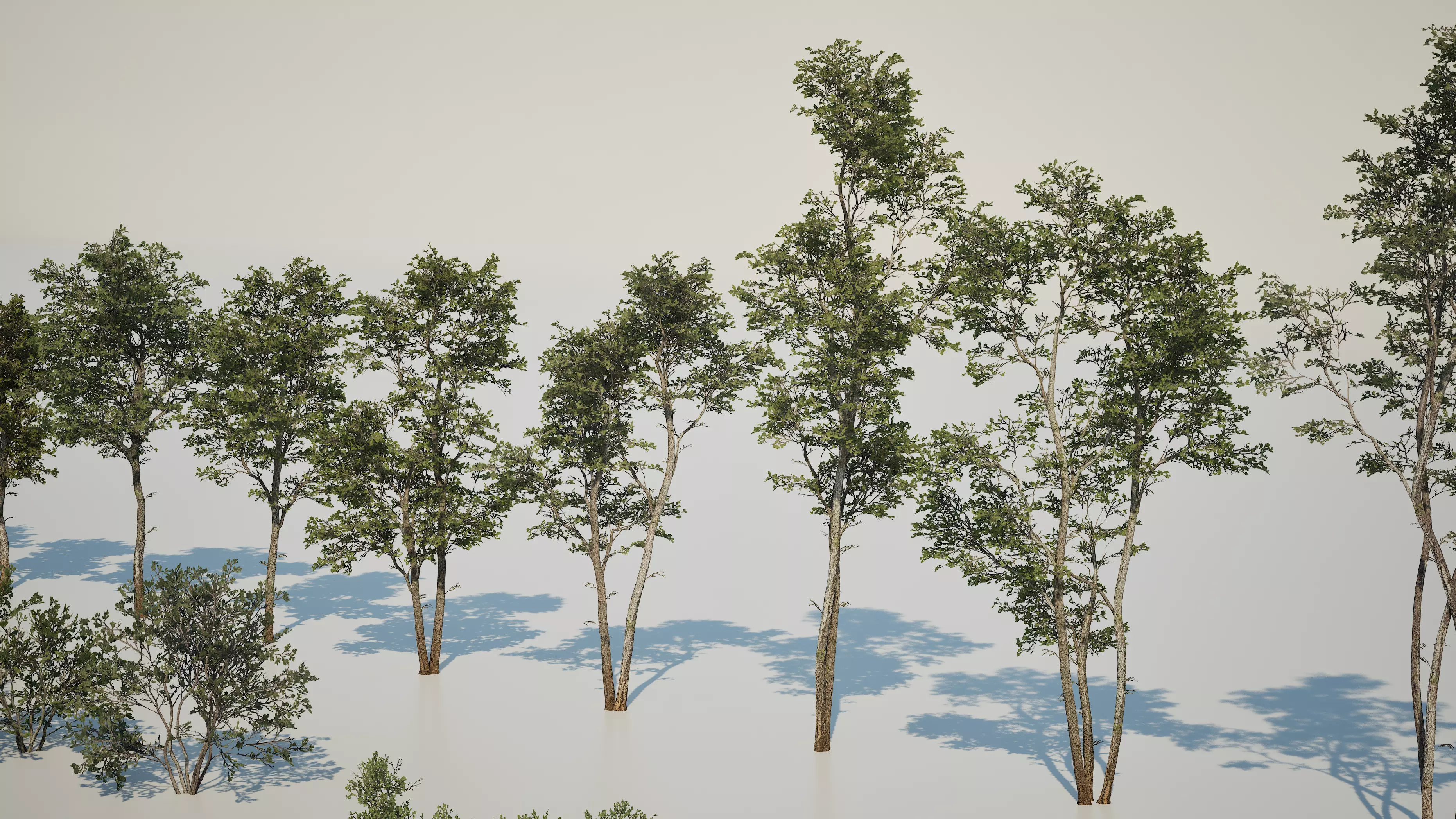 Game ready tree set - UE5 Low-poly 3D model_3