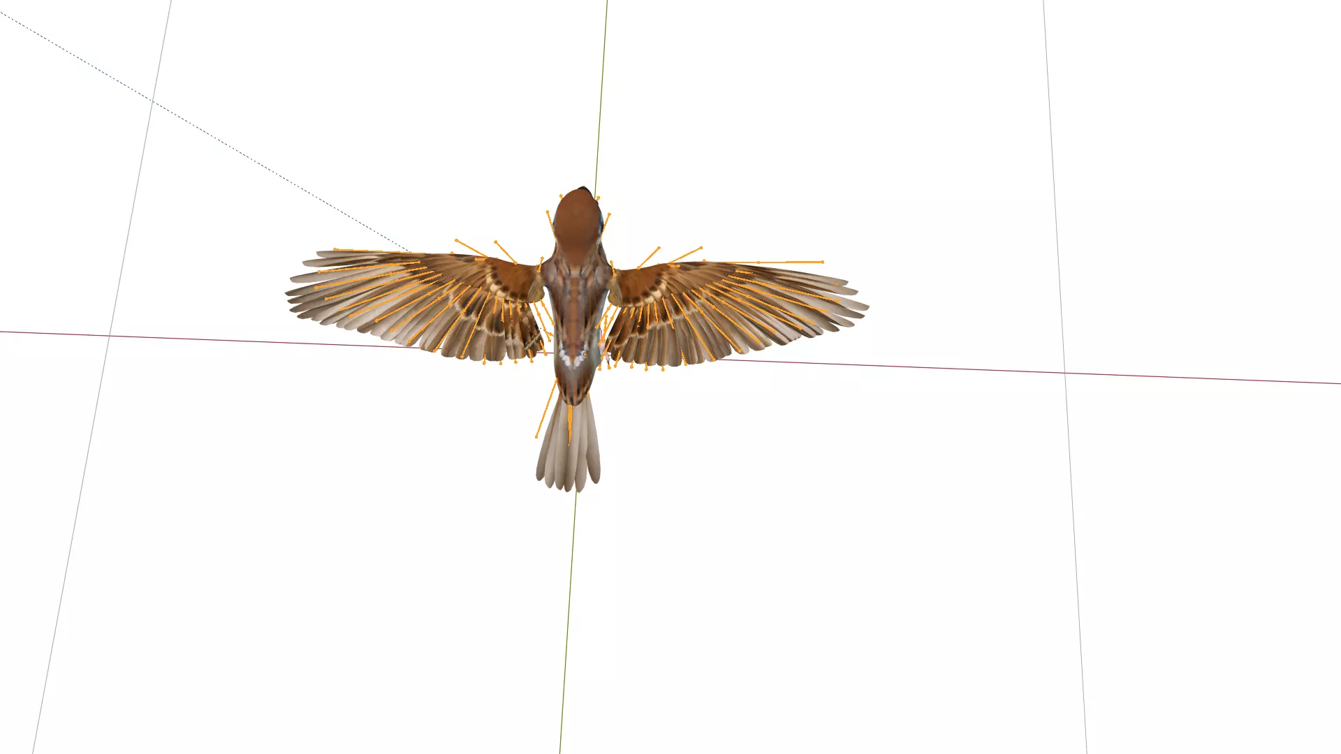 Asian House Sparrow Bird Low-poly 3D model_43