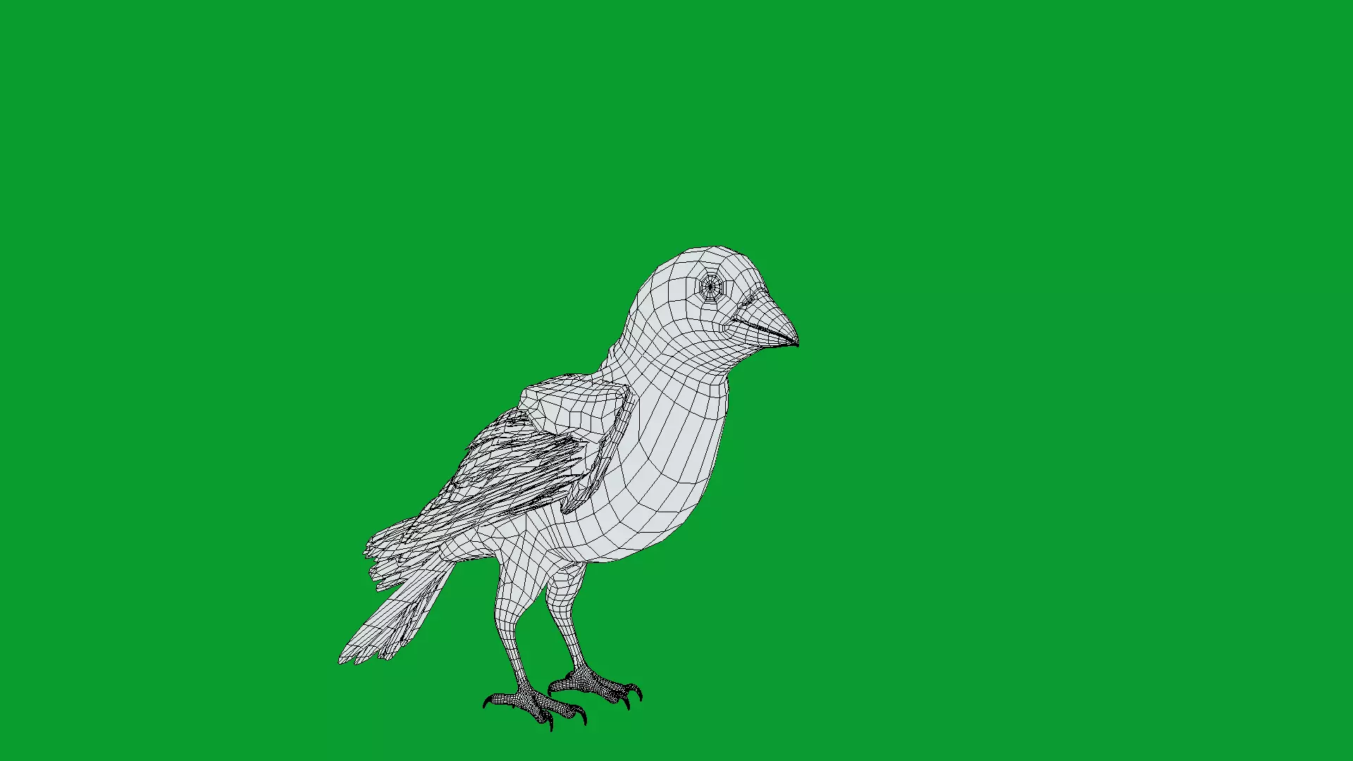 Asian House Sparrow Bird Low-poly 3D model_17