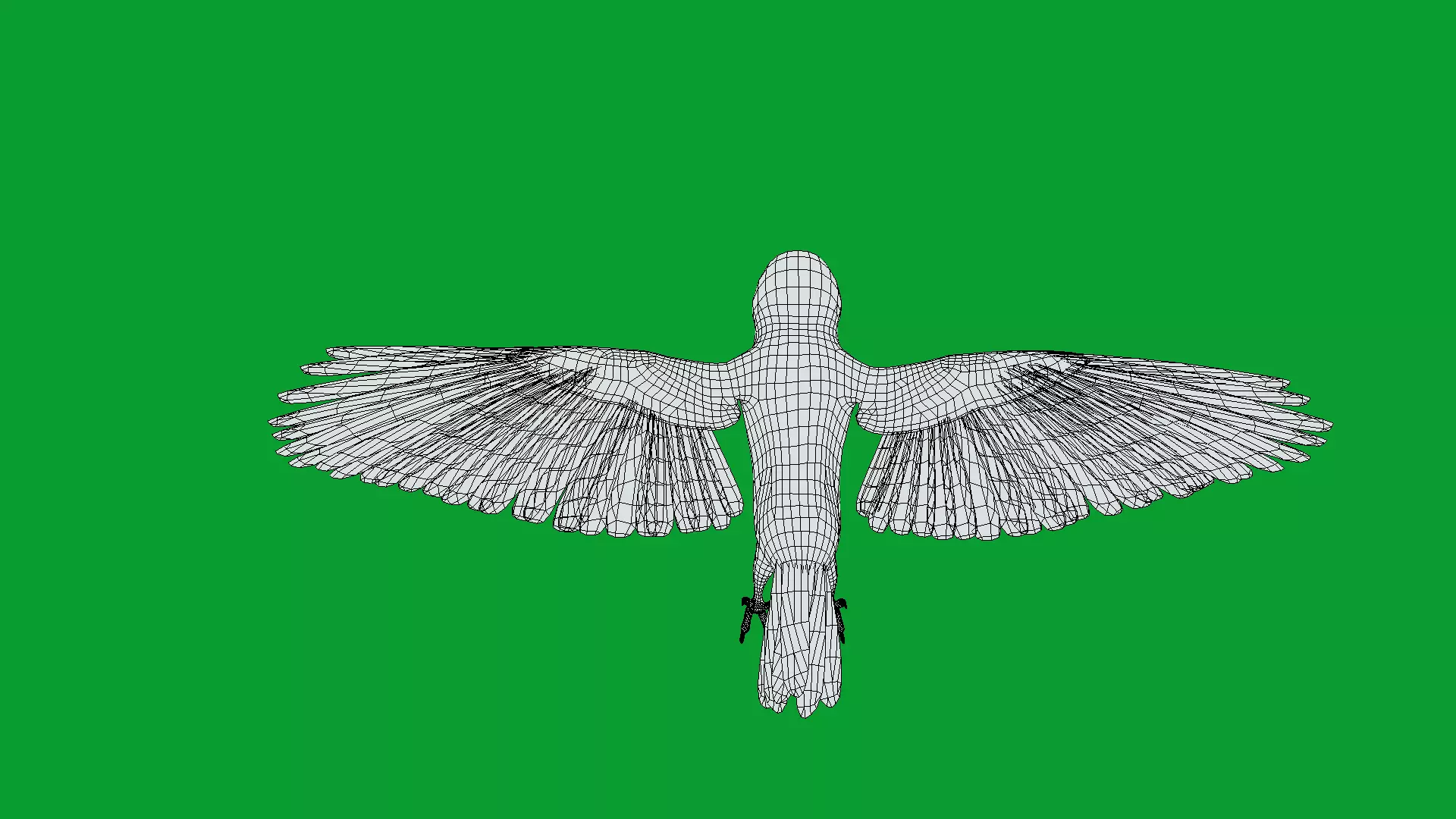 Asian House Sparrow Bird Low-poly 3D model_21