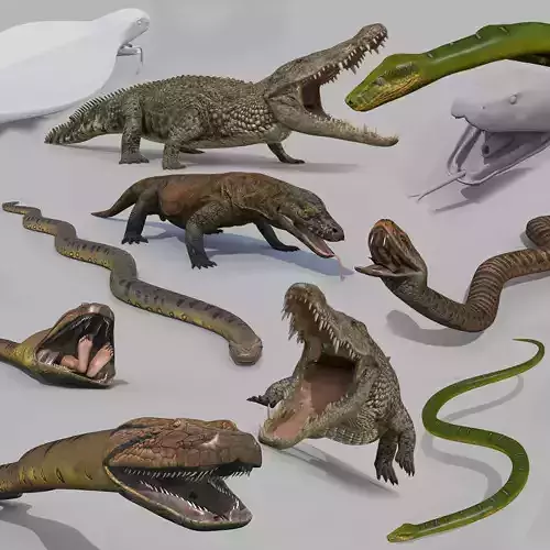 Ultimate Reptile Pack 8K