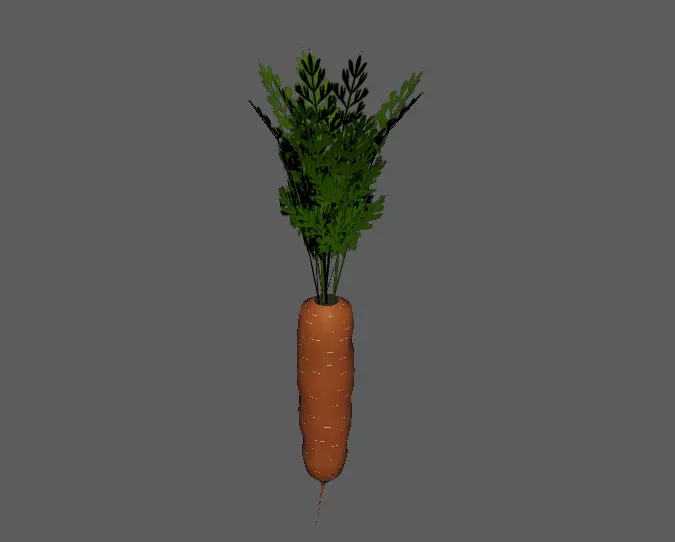 Carrot Low-poly 3D model_0