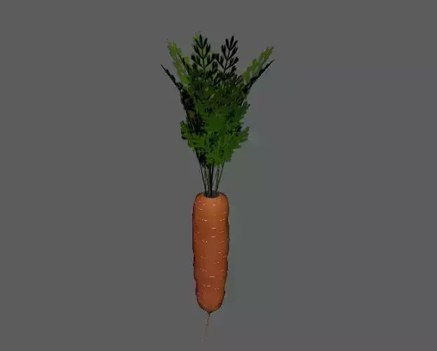 Carrot