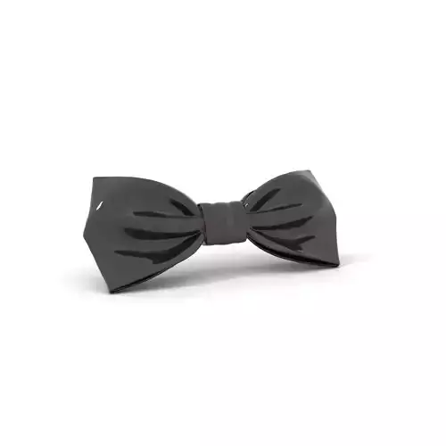 Elegant Black Bowtie model pack