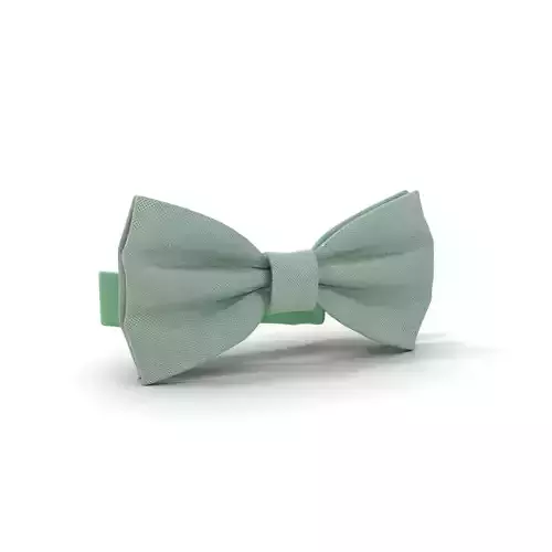 Mint Bow Tie model pack