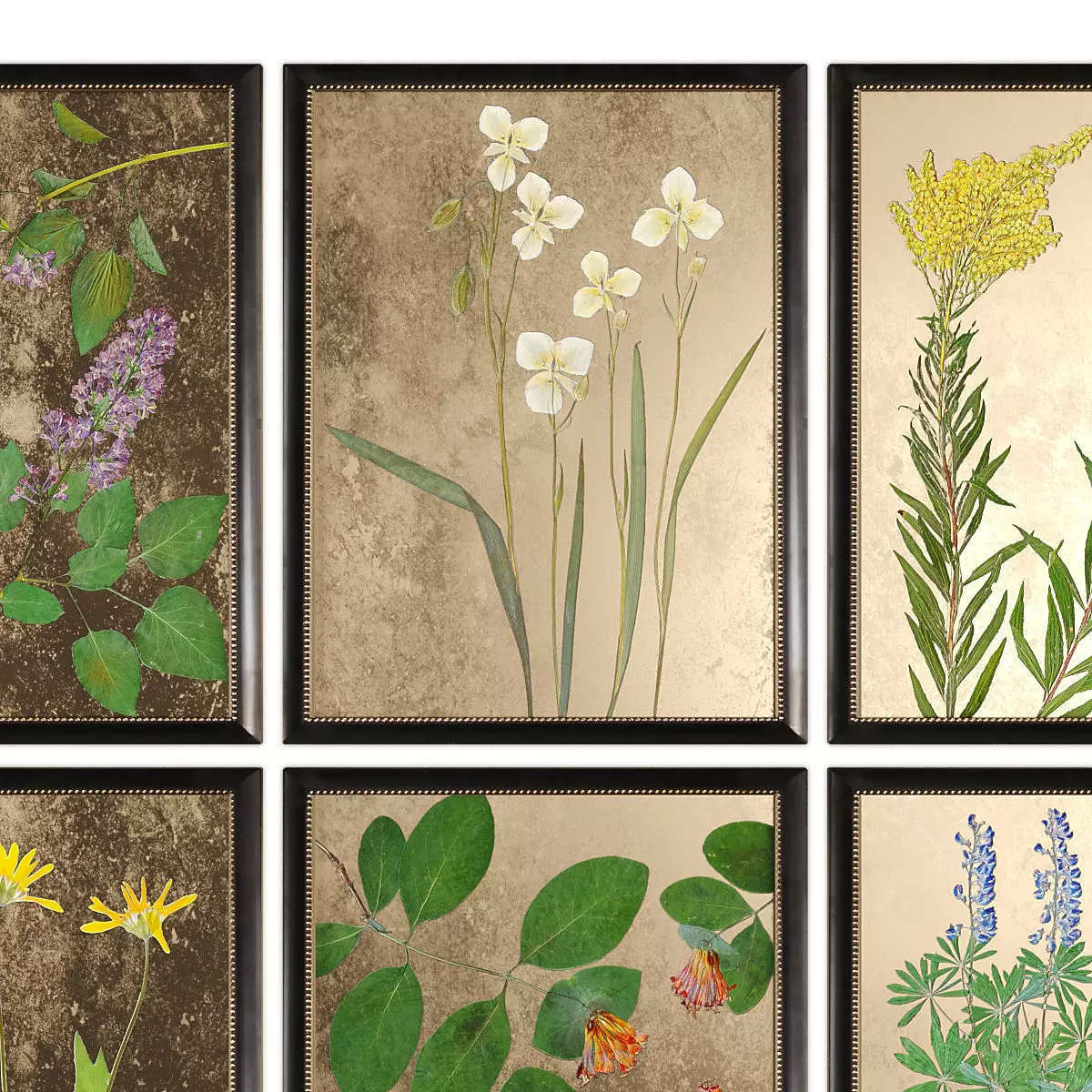 Pictures1129 Low-poly 3D model_3