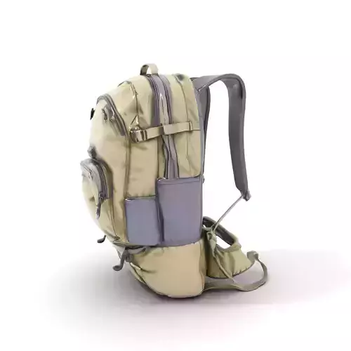 Olive Travel Backpack model pack