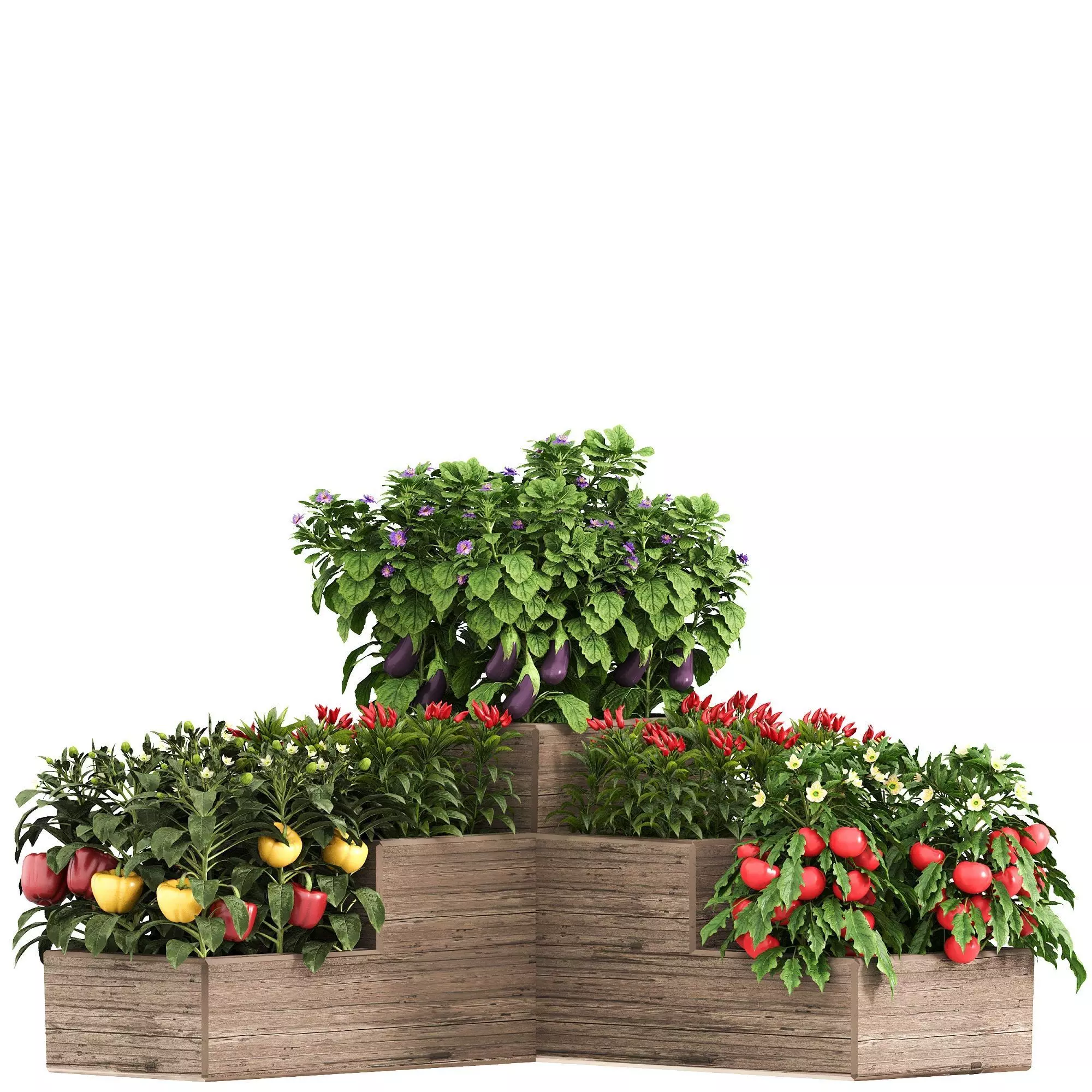 Vegetables and citrus box 01 3D model
