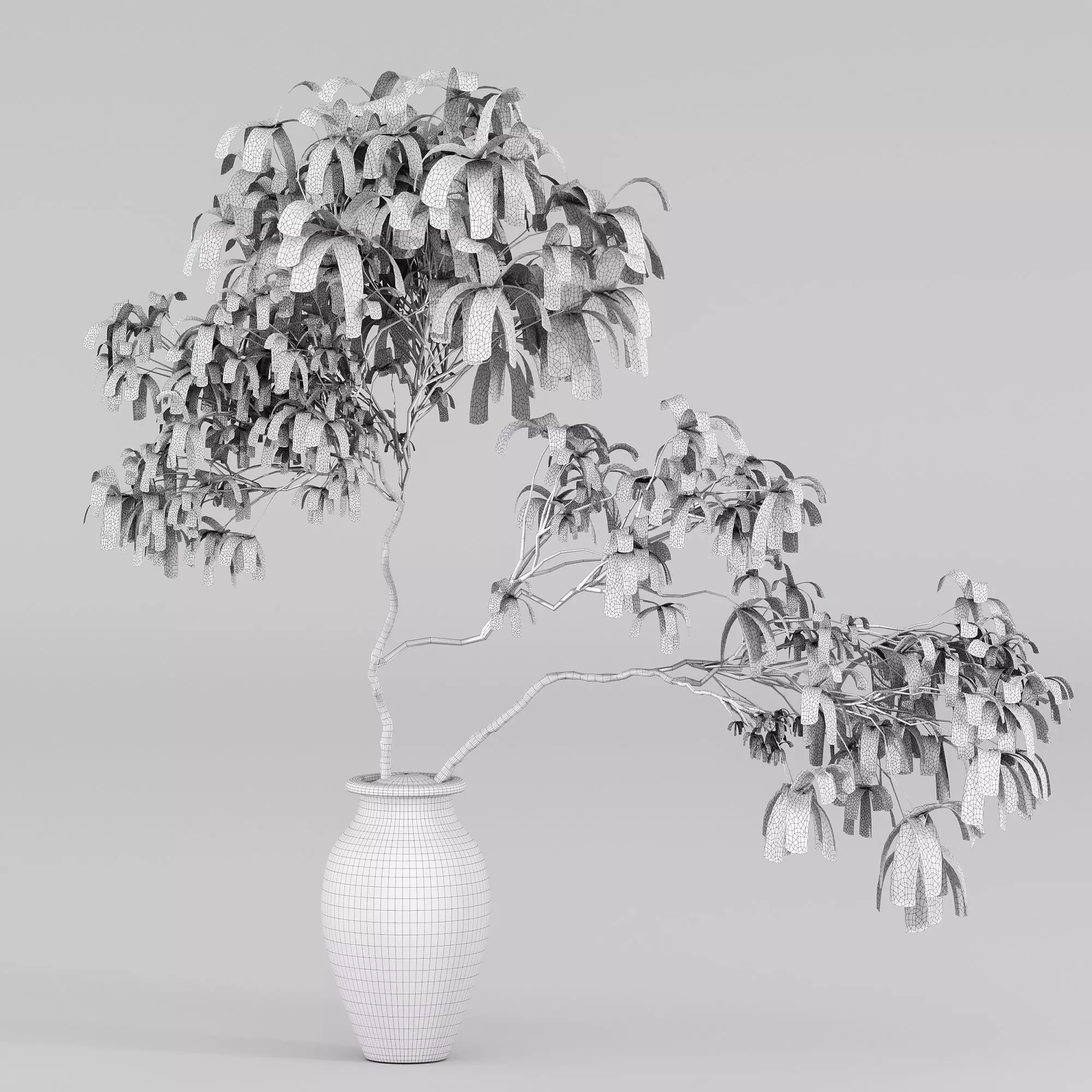 Tree in clay pot 3D model_4