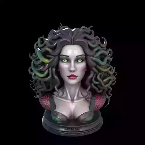 2041Medusa Gorgon Head 3D Model   magic