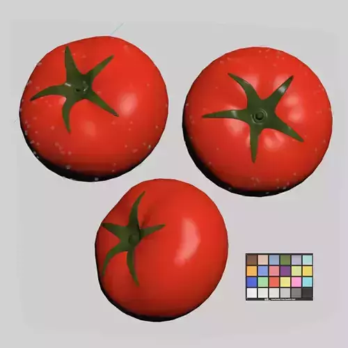 Tomato Low-poly 3D model 6