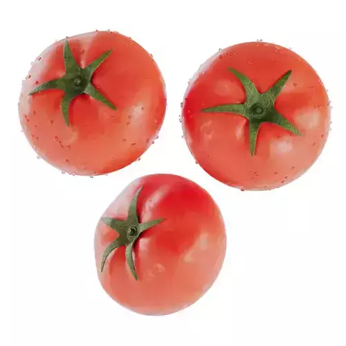 Tomato Low-poly 3D model 5