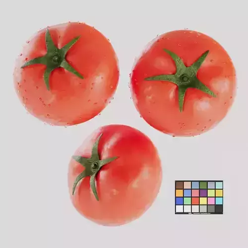 Tomato Low-poly 3D model 2