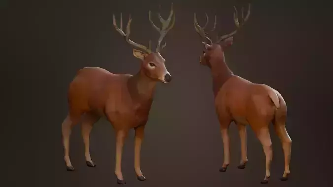 Red Deer