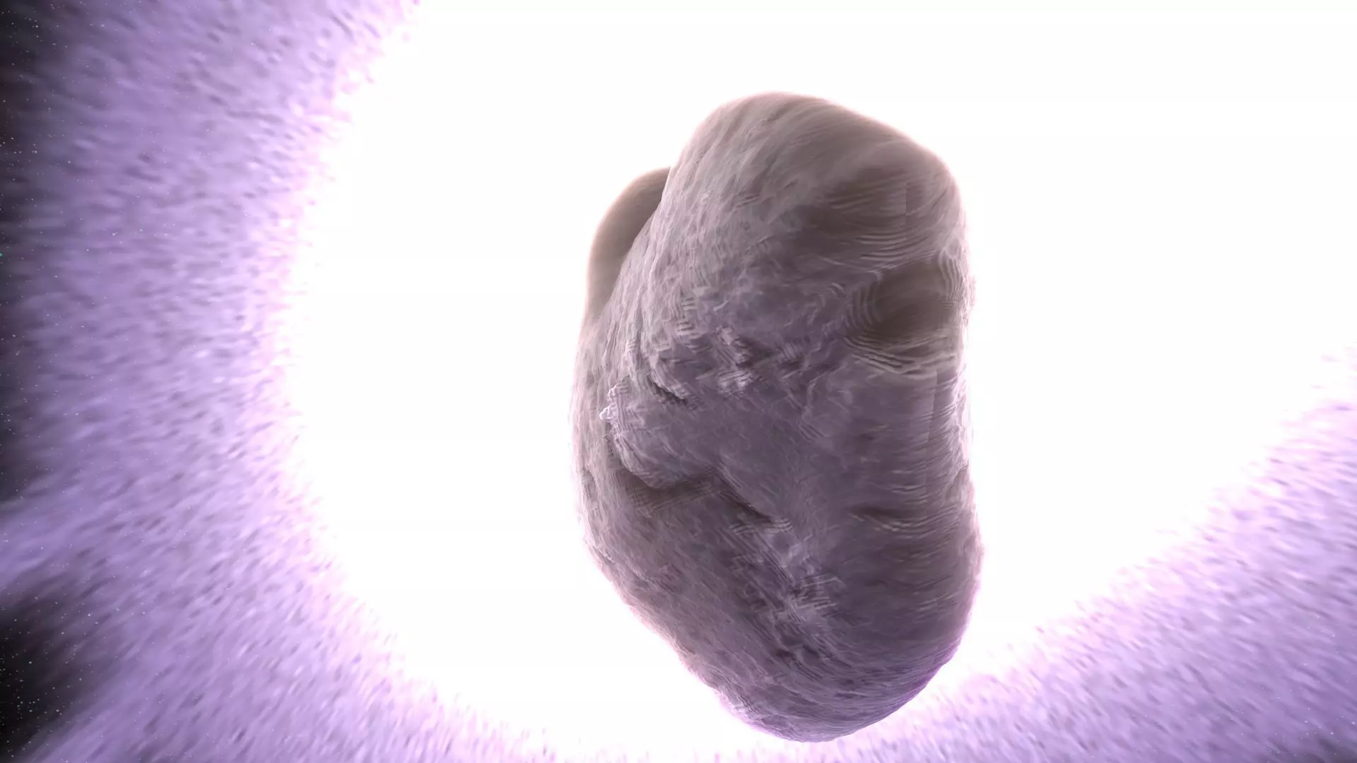 Halleys Comet 3D model_4