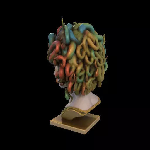 2050  Medusa Gorgon Head  3D Model  magic 3D print model_19