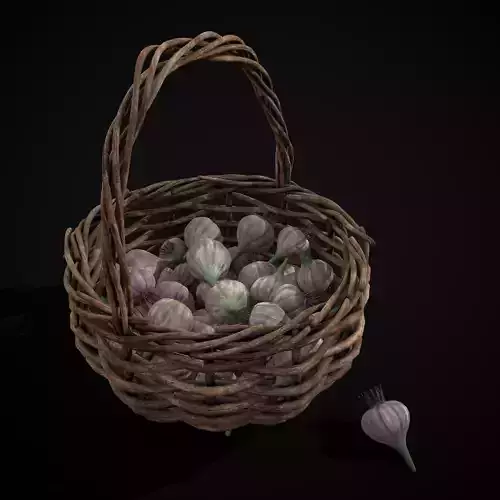 Basket of Garlic