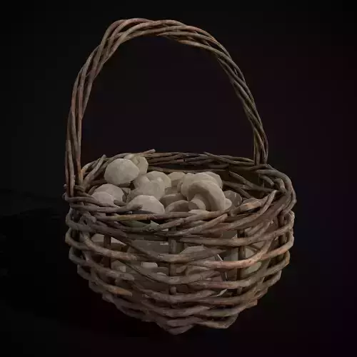 Basket of Mushrooms