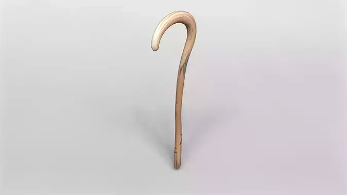 Elegant Wooden Walking Cane 3D Model