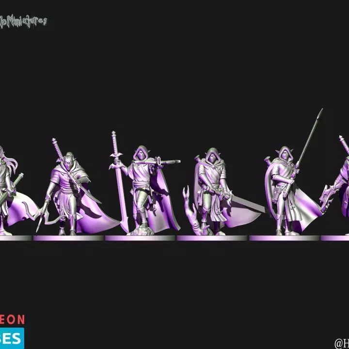 Dark elves Raven cloacks with great weapons 3D print model