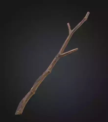 Realistic Branch